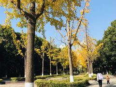 -苏州河梦清园环保主题公园