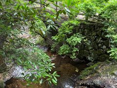 -东天目山风景区