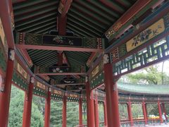 -太原动物园
