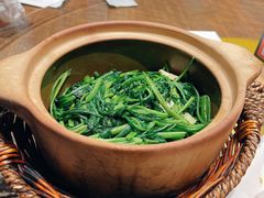 空心菜-日进一片海.生腌海鲜火锅.宵夜烧烤(三里屯总店)