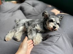 -零几体验diy皮具工作室(振业城店)