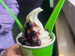 -Salud撒露欧洲冻酸奶(蓝色港湾店)