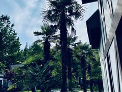 -太阳岛度假酒店