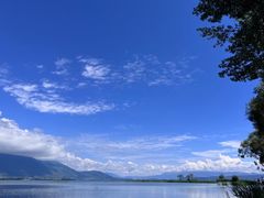 -洱海月湿地公园