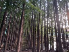 -采石矶景区