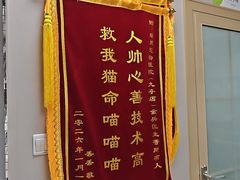 -瑞鹏宠物医院·骨外科·心肾科·肿瘤科(九亭店)