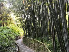 -汇龙潭