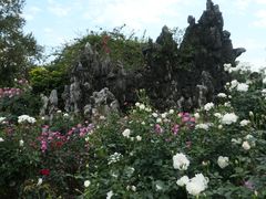 -人民公园(罗湖区)