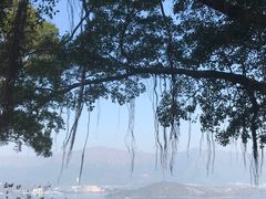 -大埔公路-马料水段香港中文大学(公交站)