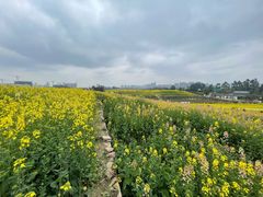 -三圣花乡旅游区