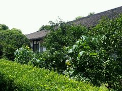 -张闻天故居
