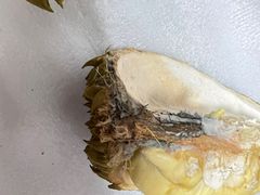 -麦德龙(十里河店)