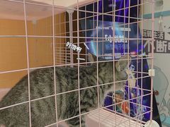 -火星工厂·桌游·团建聚会·轰趴馆(厦滘店)