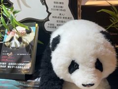 -轩客会(熊猫书店)
