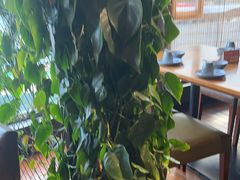 -盐帮食坊•小河帮川菜(四川师大店)