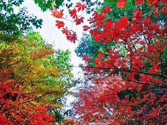 -白马涧龙池景区