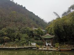 -黔灵山公园
