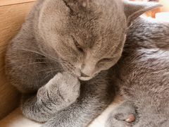 -猫和宫(六道口店)