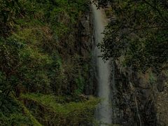 -姑婆山旅游区