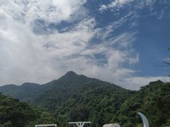 -南丹山森林王国
