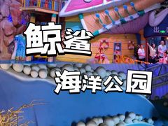 -烟台海昌鲸鲨海洋公园