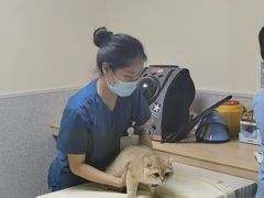 -谐和贝康宠物医院24小时·宠保定点(急重症转诊中心)