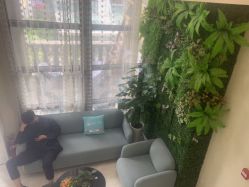 -苗医生草本科技祛痘