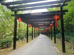 -九龙潭景区