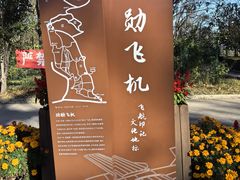 -云岗森林公园