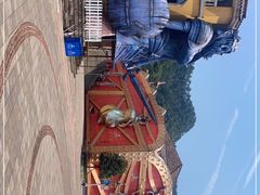 -重庆海昌加勒比海水世界