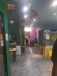 点击看大图 -神奇动物撸宠馆·羊驼·小浣熊·异宠(豫园店)
