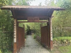 -田园东方蜜桃村的田野营地