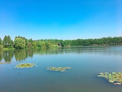 -溱湖国家湿地公园