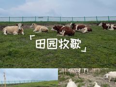 -灵山