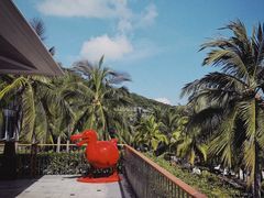 -日落吧·海景咖啡厅·餐酒吧·鸡尾酒·下午茶·乐队表演·浪漫夕阳·三亚文华东方酒店