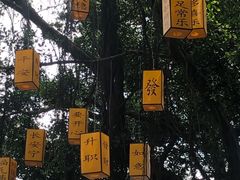 -广州市白云山风景名胜区