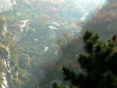 -终南山国家森林公园