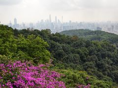 -广州市白云山风景名胜区