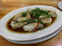 清蒸豆腐鱼-长平肥姐白粥·海鲜打冷