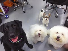 -爱诺耐芙动物医院(万博店)