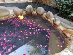 -北京益泉花园酒店