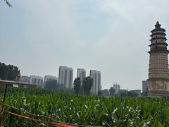 -修德寺塔