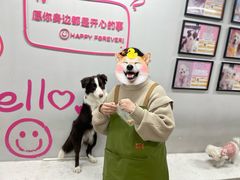 -汪说·狗咖(旺城大厦店)
