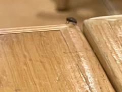 -云味馆·云南菜·云南米线(地王店)
