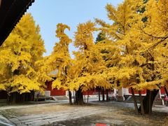 -承恩寺