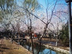 -三里河公园
