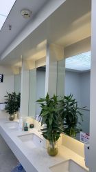 -悟空祛痘·诺奖技术专业店