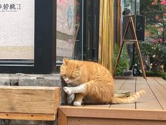 -重庆十八梯传统风貌区