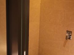 -新加坡瑞士史丹福酒店