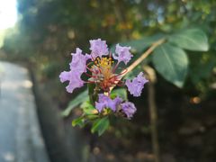 -雨花胜境